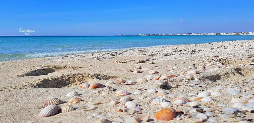 Masseria La Lizza - Ospitalita Rurale Lecce Kültér fotó