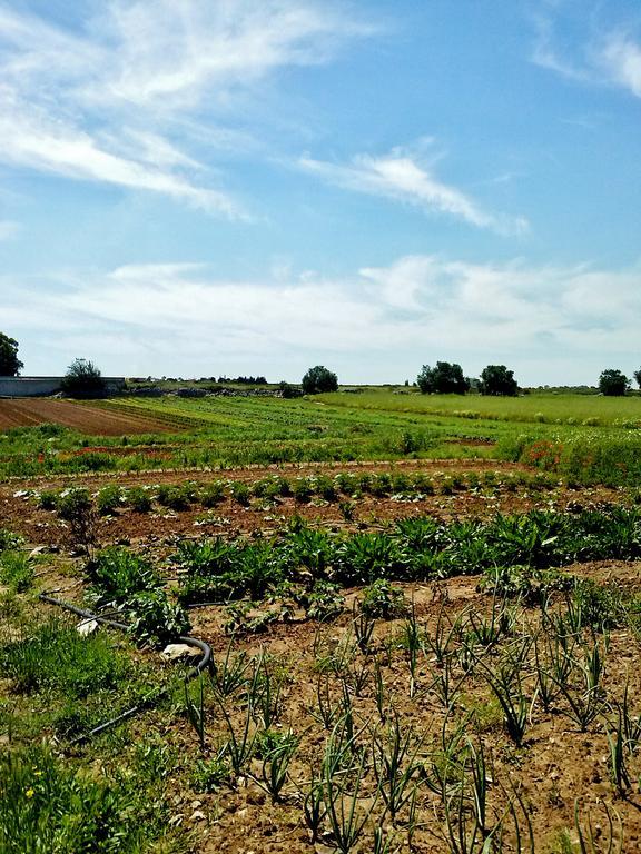 Masseria La Lizza - Ospitalita Rurale Lecce Kültér fotó